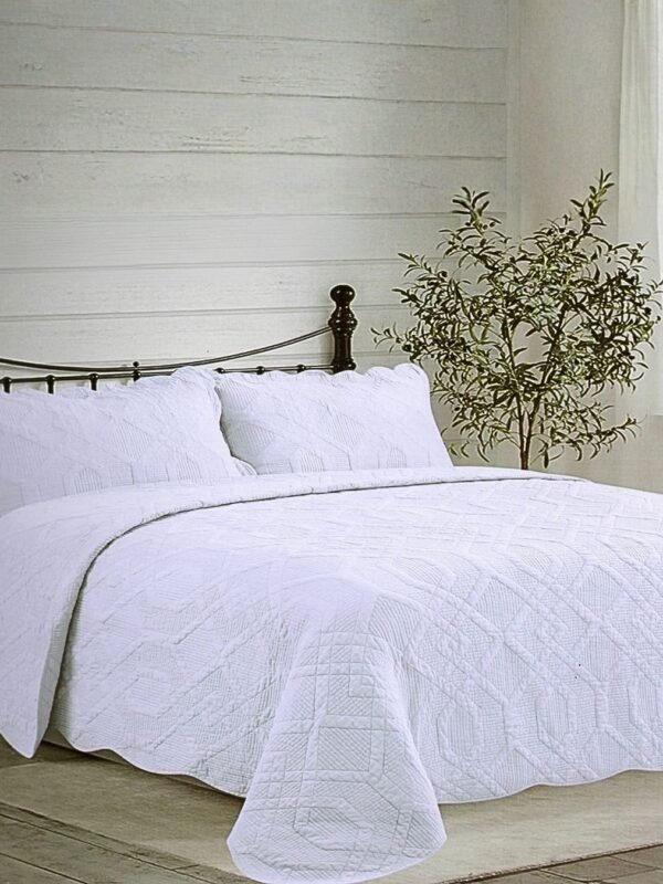 7 Quilt tejido 3 piezas 100 % algodón hindú