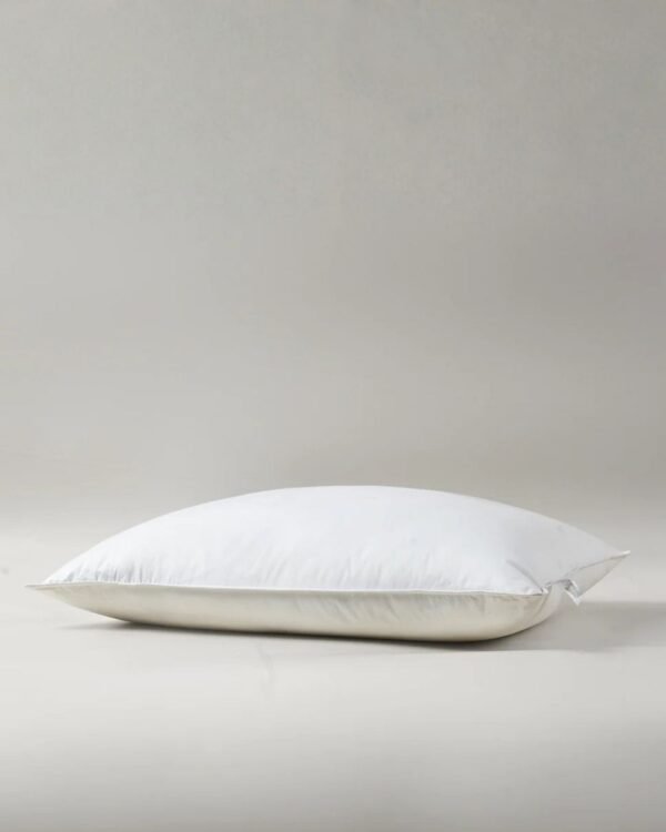 Pack almohadas plumas bassic